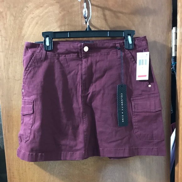Celebrity Pink Dresses & Skirts - NWT Celebrity Pink Maroon Skirt Large